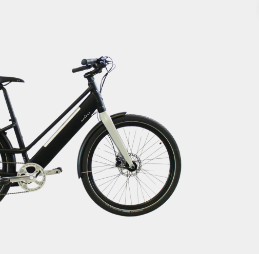 Velo electrique Ahooga Loewi