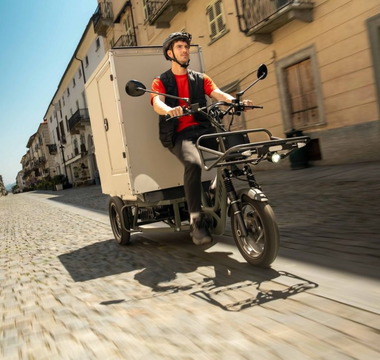 Quel vélos cargo électriques (triporteurs longtail) pour professionnels choisir ? 