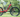 vélo électrique trek