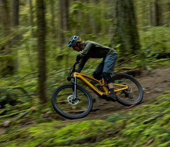 Guide : tout savoir sur la marque Trek