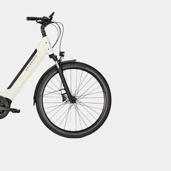 Vélo électrique Kalkhoff - LOEWI