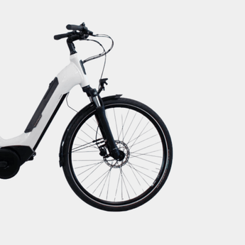 Vélo électrique Winora - LOEWI