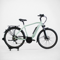 Vélo électrique Vélo de ville AEB 800 vert