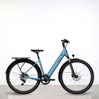 Vélo électrique Tenways CGO800S