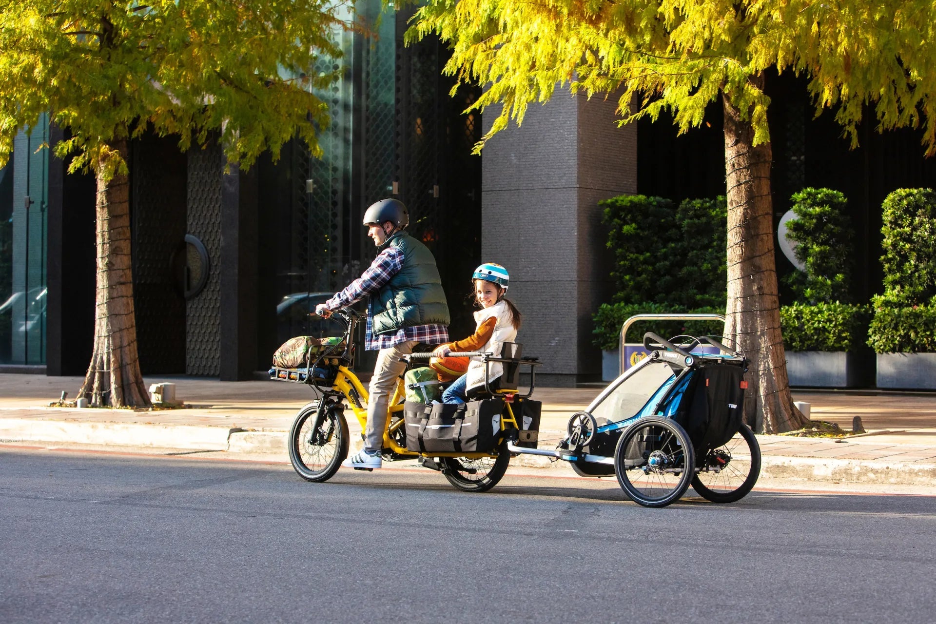 ATTELAGE DE QUEUE - TAIL HITCH