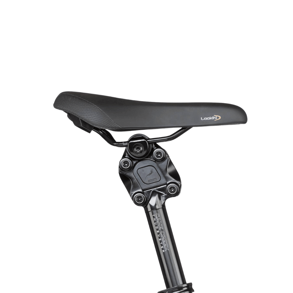 Vélo électrique Riëse & Muller - Charger 4 Mixte - LOEWI