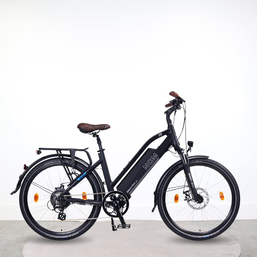 Vélo électrique Femme 28 Hollandia Optima Basic HC 46 cm Bleu 250 Watt Vélo électrique Femme 28 Hollandia Optima Basic HC 46 cm Bleu 250 Watt