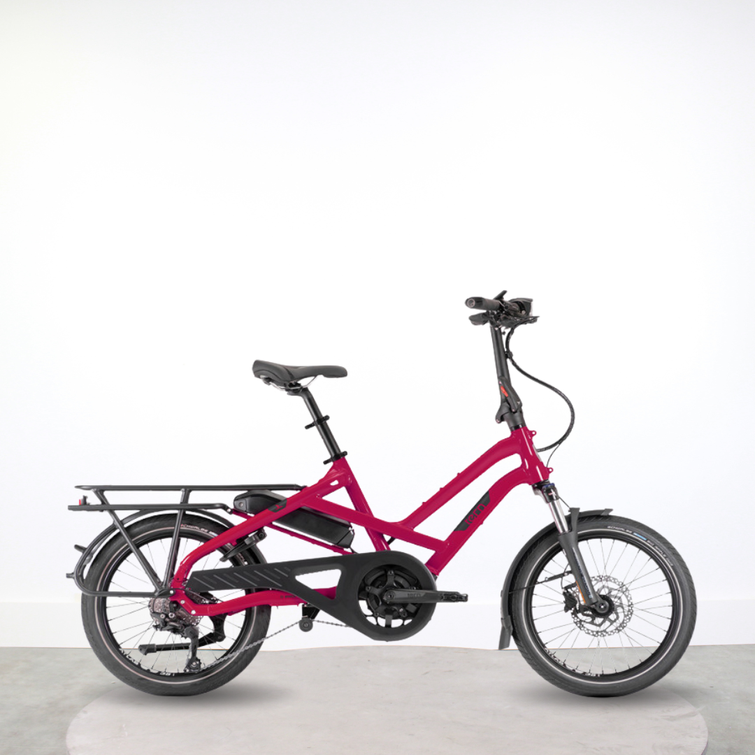 Longtail électrique Tern HSD P10