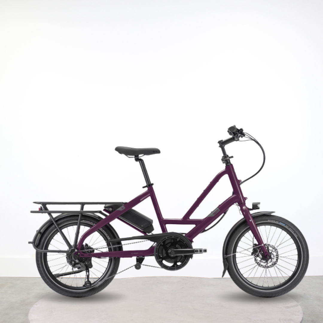 Longtail électrique Tern Quickhaul P9