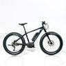 Vélo électrique Matra I-Force Buggy D9