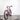 VTT électrique EasyBike EASY SPORT D11