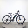 VTC électrique Wayscral Everyway E100 2022