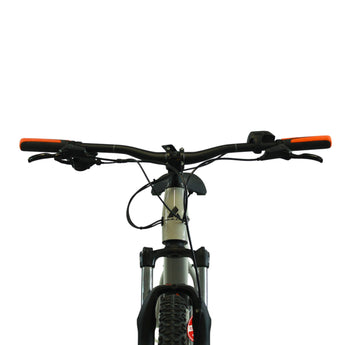 Vélo électrique Bulls LT Performance 29 (taille M)