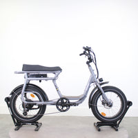 Cargo électrique Elwing Y1