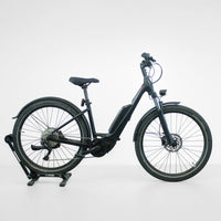 Vélo électrique Bulls Iconic E1