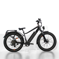 VTC Rad Power Bikes RadRhino 6 Plus (cadre haut)