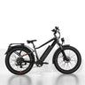 VTC Rad Power Bikes RadRhino 6 Plus