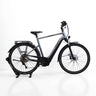 VTC électrique Pegasus Premio Evo 10 Lite