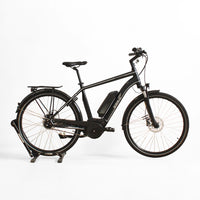 VTC électrique Advanced Technologies S005
