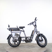 Vélo cargo électrique Rad Power Bikes Radrunner 3+