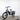 Vélo cargo électrique Rad Power Bikes RadWagon 4
