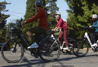 Parrainagevéloélectriqueloewi