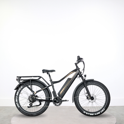 Vélo fatbike électrique Jobobike Robin PRO