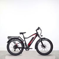 Vélo fatbike électrique Jobobike Robin