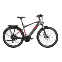 VTC électrique Raymon Tourray E 6.0 (taille S)