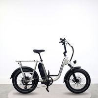 Vélo cargo électrique Rad power Radrunner plus (Banquette arrière non incluse)