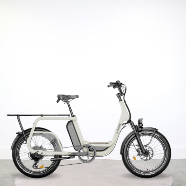 Ritmic Duo cargo électrique biplace avis