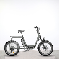 Cargo électrique Elwing Ritmic Solo