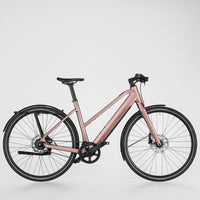 Vélo électrique Riese & Müller UBN Seven Silent