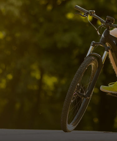 loewi velo electrique occasion