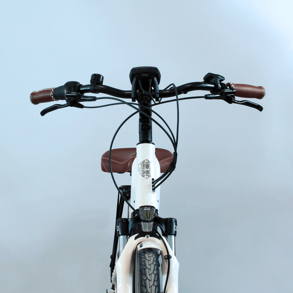 Vélo électrique E-Integrated 20 - LOEWI