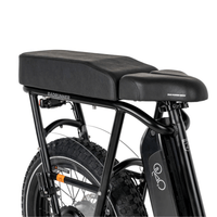 RadRunner 2 Passengers Pack