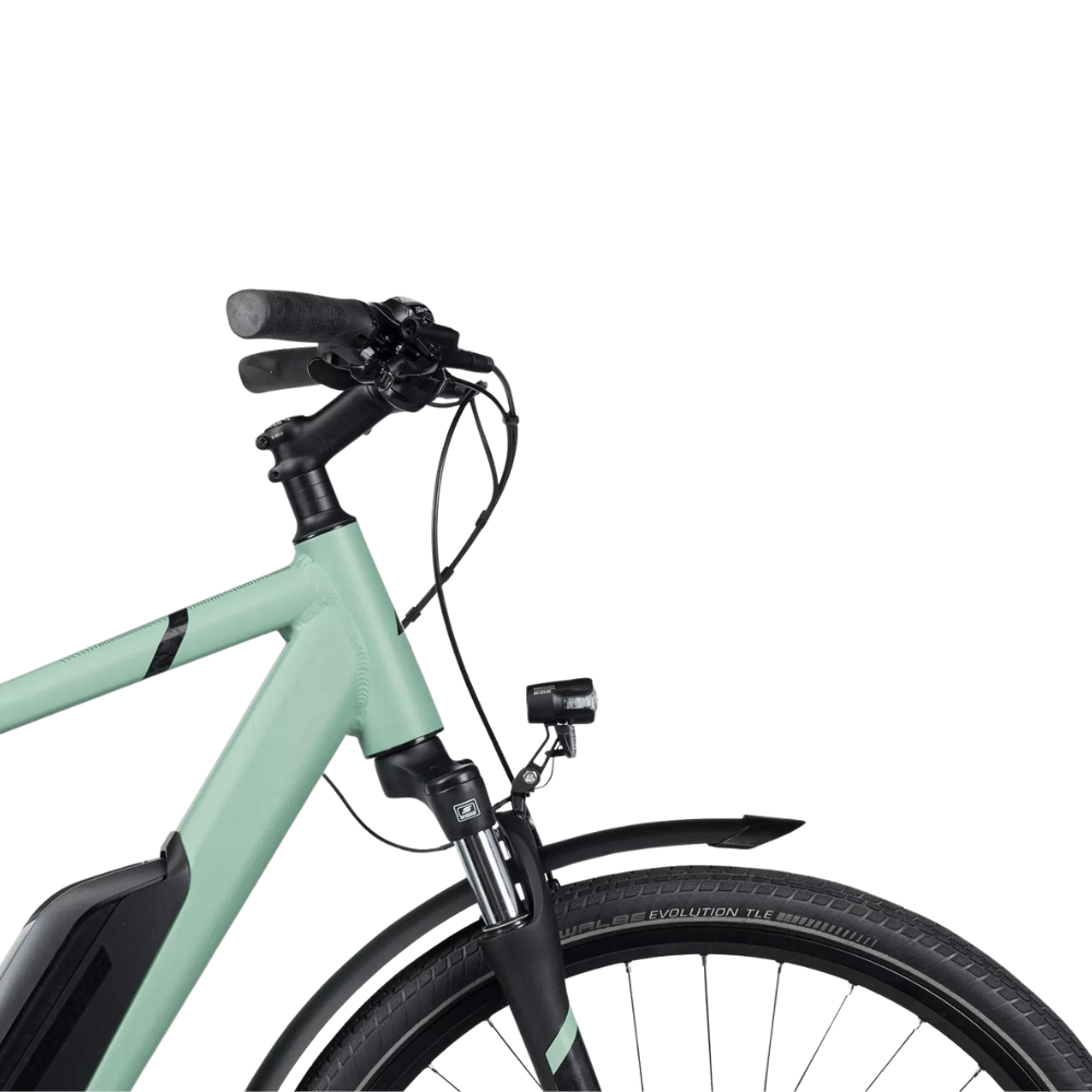 Vélo électrique e-Explorer 3.4 vert | LOEWI