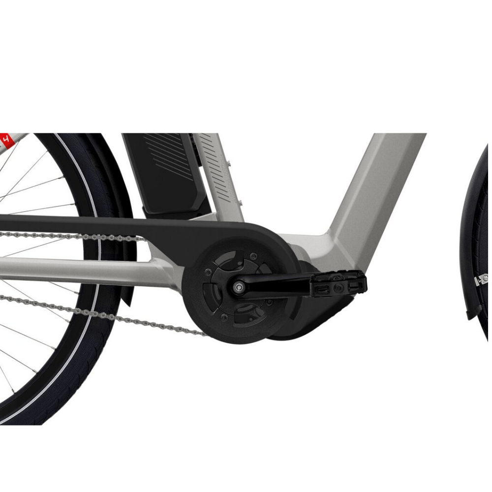 Vélo électrique reconditionné Gotour4. 5.01R | LOEWI