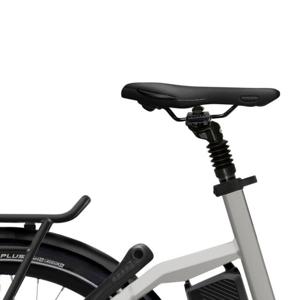 Vélo électrique reconditionné Gotour4. 5.01R | LOEWI