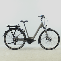 Vélo électrique Gitane Organ'E bike gris