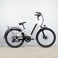 Vélo électrique Rad Power Bikes RadCity 5 Plus blanc