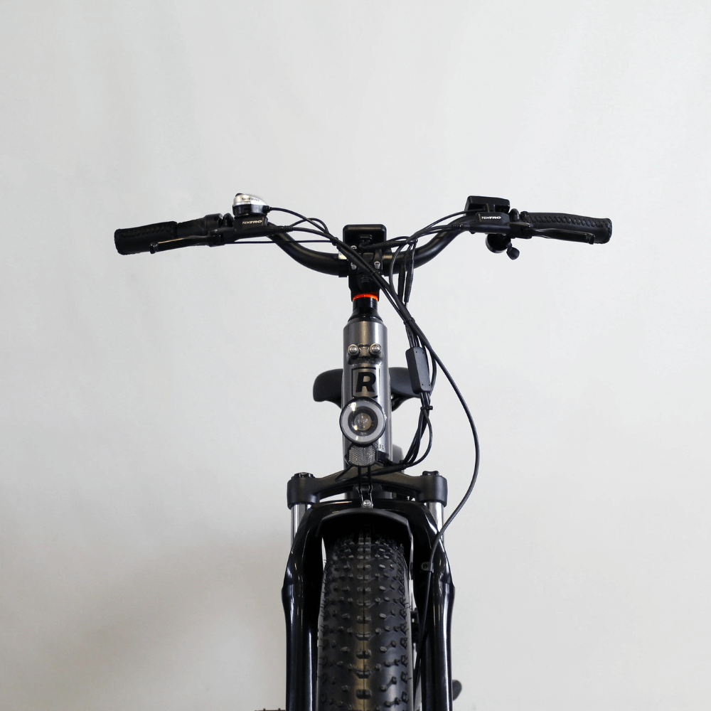 V lo lectrique Rad Power Bikes RadRhino 6 Plus Loewi