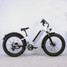 Vélo électrique Rad Power Bikes RadRhino 6 Plus Step-Thru blanc