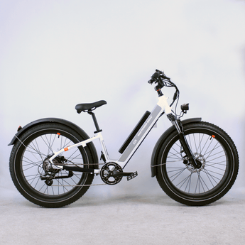 Vélo Cargo Électrique Rad Power Bikes RadWagon 4 - Idéal pour Tous