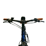 Vélo électrique O2 Feel Swan