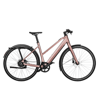 Vélo électrique Riese & Müller UBN Seven Vario