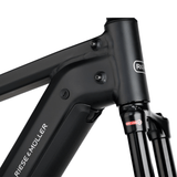 VTC électrique Riese & Müller Charger4 Touring noir