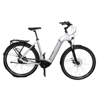 VTC électrique Flyer Gotour6 5.40 Gris