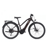 VTC électrique Liv Amiti-E+2